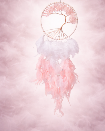 Unenäopüüdja Suur. Roosa kvartisga.